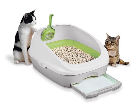 The best odor-free cat litter boxes | Pets | madison.com