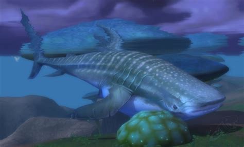 Requin-baleine sauvage - PNJ - World of Warcraft