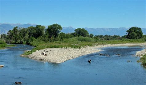 The Gallatin River in Montana : Fly Fishing Information, Photos ...