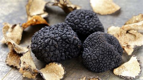 Truffles - The Most Expensive Food In The World