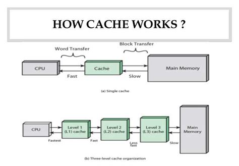 Types of Cache Memory in a CPU