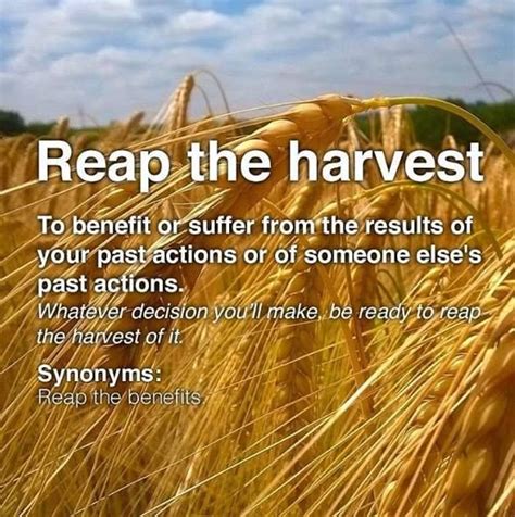 Idiom "reap the harvest'.