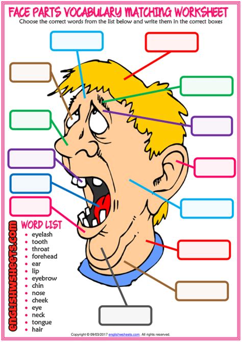 Face Parts ESL Matching Exercise Worksheet For Kids