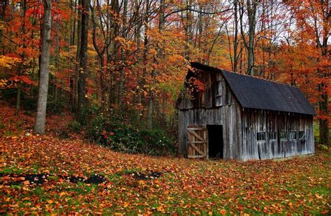 Image result for Autumn Barn Scenes | Barn pictures, Old barns, Country barns