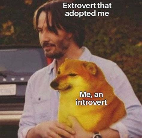 20 Memes That Show What Happens When An Extrovert Meets An Introvert - Funny