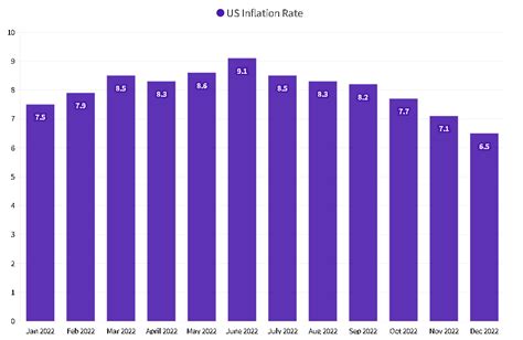 Inflation Report August 2024 - Jolyn Madonna