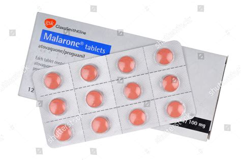 Malarone Tablets Antimalaria Tablets Editorial Stock Photo - Stock Image | Shutterstock