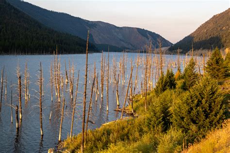 Yellowstone Side Trip: Earthquake Lake Visitor Center - Yellowstone Forever