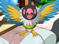 Chatot | Pokémon Wiki | Fandom