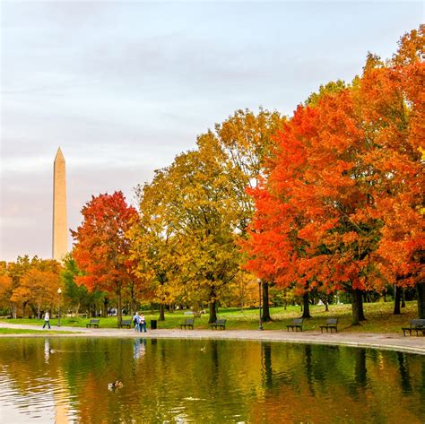 This Fall Foliage Map Shows When the Leaves Will Change in 2023