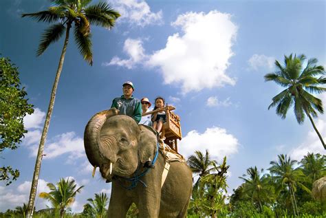 Bali Elephant Camp Offer Bali Elephant Safari Ride | Bali Tours