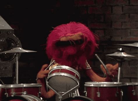 Muppet Show Muppets GIF - Muppet Show Muppets Animal - Discover & Share GIFs