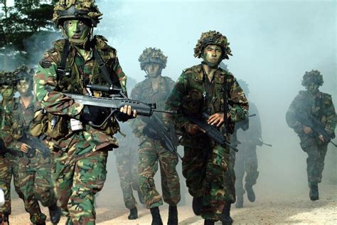 Singapore Armed forces soldiers in the old woodlands camo [735×490 ...