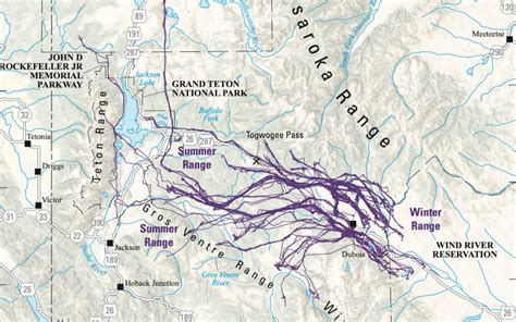 New Maps Detail Migration Corridors Across The West | KUNM