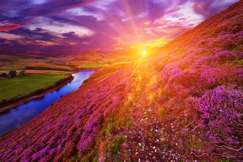720P free download | Scotland Sunrise, flowers, lake, mountian, mountains, clouds, scenery ...