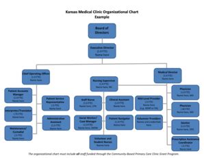 Clinic Organizational Chart Template - Fill Online, Printable, Fillable, Blank | pdfFiller