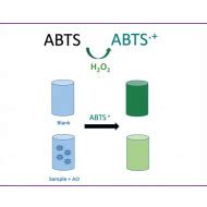 ABTS Antioxidant Capacity Assay