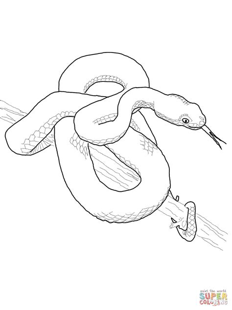 Snake Outline Drawing at GetDrawings | Free download