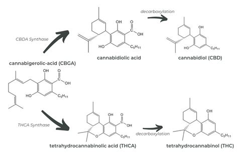 Cannabis Decarboxylation Chart — Decarboxylation