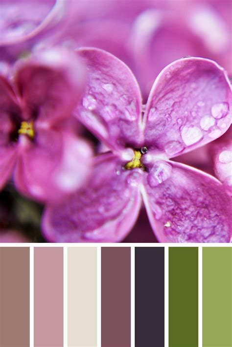 Purple Flowers with Green, Brown, and Pink Color Palette