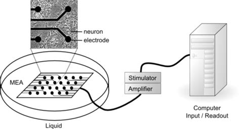 Biological Computers - Tech-FAQ