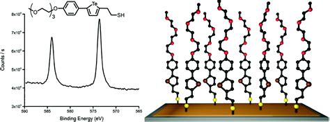 Synthesis and self-assembly of thiol-modified tellurophenes