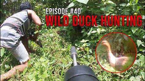 Wild Duck Hunting - Episode #40 - YouTube