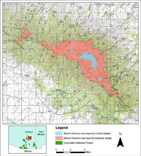 Mount Graham red squirrel potential range and critical habitat ...