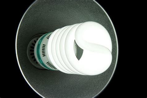 Light Bulb | Free Stock Photo | A compact fluorescent light bulb | # 8450