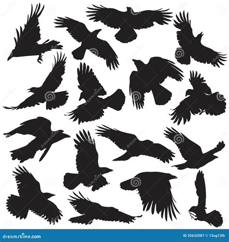 Crow Silhouette Set 02 Royalty Free Stock Photography - Image: 35632087