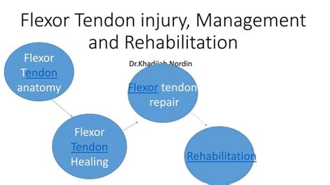 Flexor tendon injury, management and rehabilitation