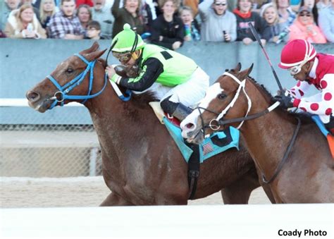 Rated R Superstar Nails Snapper Sinclair In Essex Photo - Columbiana Farm