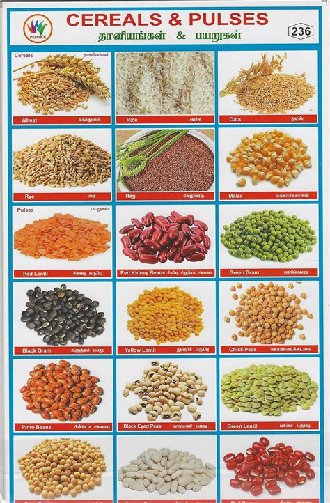 Cereals and Pulses Label Stickers for Kids School Project Work Includes ...