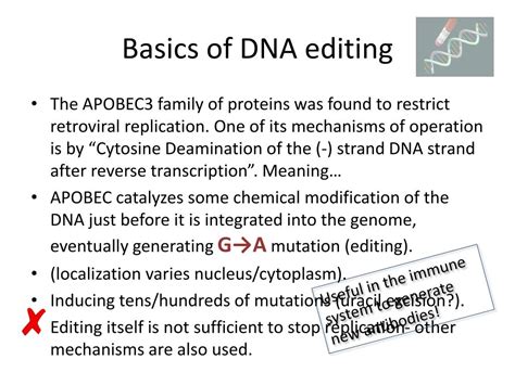 PPT - Junk DNA and DNA editing PowerPoint Presentation, free download ...