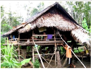 Riszky Nurseno: Morowali Nature Reserve, Central Sulawesi