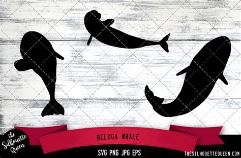 Beluga Whale Silhouette Vector | Illustrator Graphics ~ Creative Market