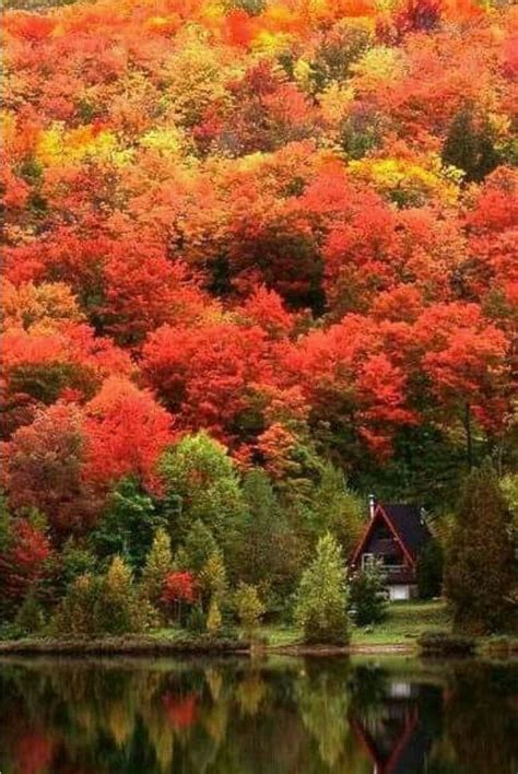 Fall in Canada. | Autumn scenery, Autumn landscape, Fall pictures