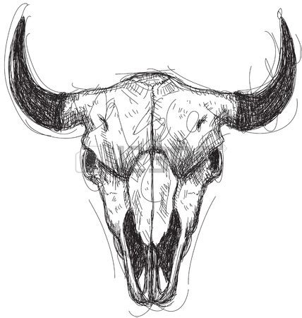 Texas Longhorn Skull Coloring Pages