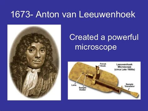 Anton Van Leeuwenhoek Cell Theory