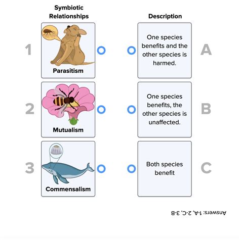 Symbiosis ( Read ) | Biology | CK-12 Foundation