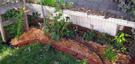 How to Install Metal Landscape Edging | 10 Easy Steps (2025)