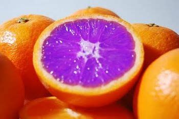 The Purple Oranges | Orange aesthetic, Orange, Purple food