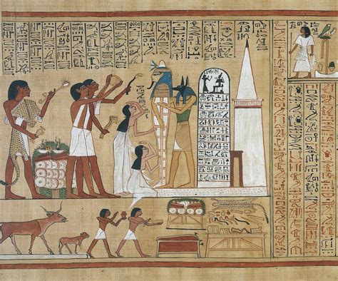 Egyptian hieroglyphs book of the heavenly cow - amateurlasopa