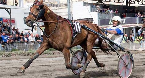 Horse Races postponed until further notice - Malta Racing Club - The Malta Independent