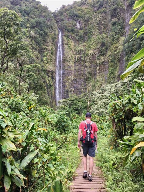 waimoku-falls-maui - HomeyHawaii