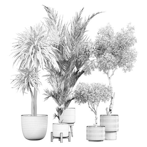 Potted Plants Indoor 475 3D model - GreatCatalog 46019