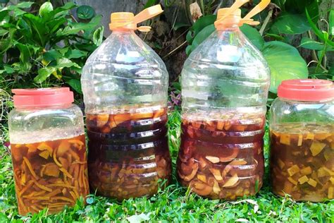 Eco-Enzyme, Cara Memanfaatkan Limbah Dapur untuk Tanaman Halaman all - Kompas.com