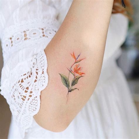 Bird of paradise flower tattoo by @vane.tattoo_ | Bird of paradise ...