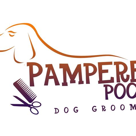 Pampered pooch (@pamperedpooch22) | Twitter