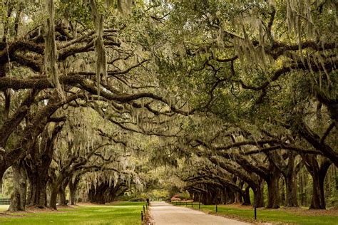 10 Best Museums in Charleston - Where to Discover Charlestons’s History ...